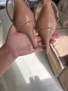 Sandlia
