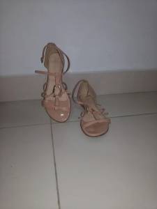 Sandlia