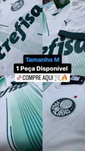 Camisa Palmeiras 2023/24 Pronta Entrega