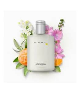Perfume Insensatez
