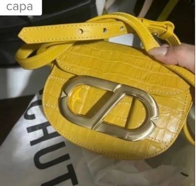 Bolsa Schutz