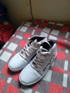 Tnis Vanscy Cano Mdio 41/42 Original.