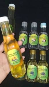 leos Naturais