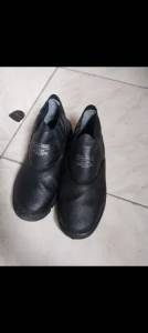 Bota