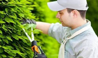 Jardinagem Em Geral Melhor Preo