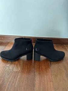 Bota