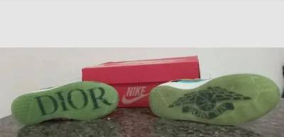 Nike Dunk Low Ben Jerry