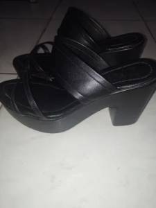 Sandlia