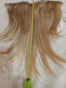 Cabelo Humano
