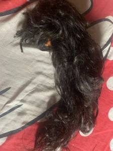 Cabelo Humano