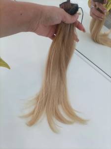 Cabelo Humano