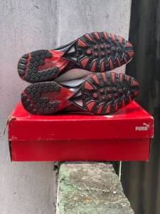 Puma Disc Cell