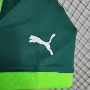 Camisa Palmeiras 23/24 Lanamento Entrega Sem Taxa Em Goinia