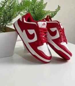 Tenis Nike