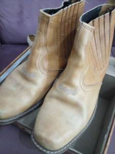 Botinas