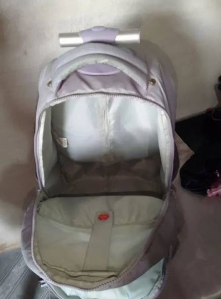 Mochila De Rodinha Com Carrinho - Nova!