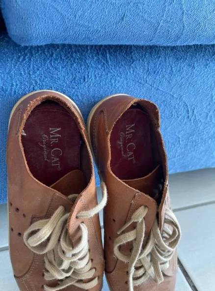 Sapato Mr Cat Original