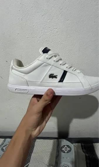 Lacoste Europa Lcr Brz Masculino