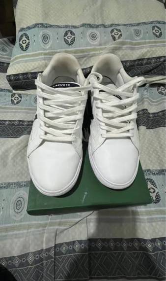 Lacoste Europa Lcr Brz Masculino