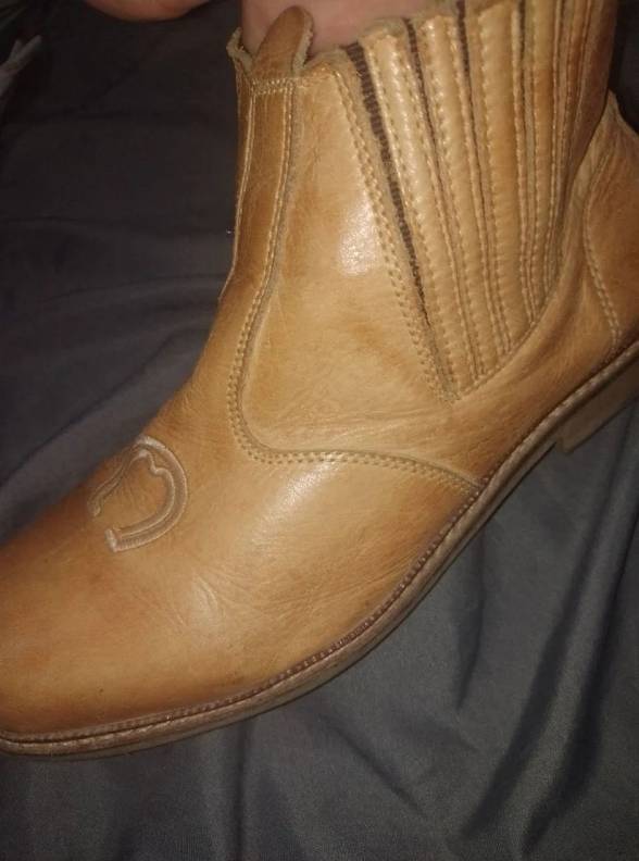 Bota