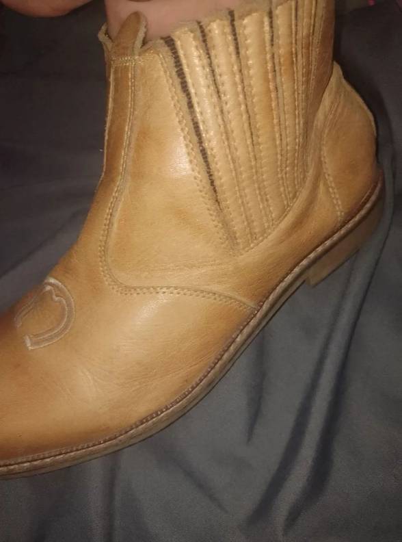 Bota