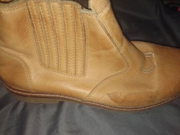 Bota